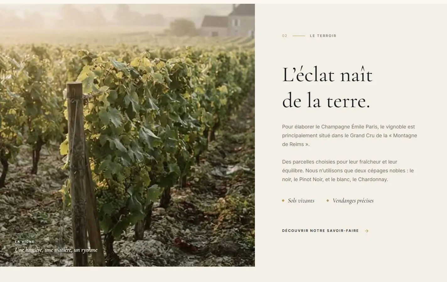 The terroir
